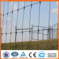 Anping professional manufacturer supplies ISO9001:2008,SGS,BV certified galvanized field fence , cattle fence